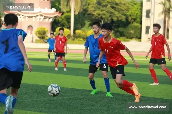 网易体育独家解析:CBA季后赛激战正酣 谁能在本赛季最终捧起冠军奖杯 网易体育独家解析:CBA季后赛激战正酣 谁能在本赛季最终捧起冠军奖杯