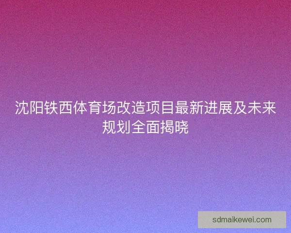 沈阳铁西体育场改造项目最新进展及未来规划全面揭晓