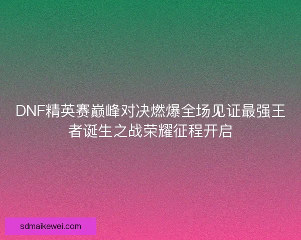 DNF精英赛巅峰对决燃爆全场见证最强王者诞生之战荣耀征程开启