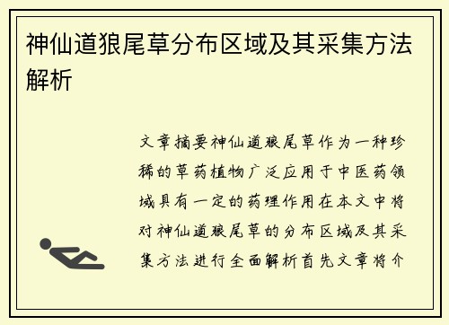 神仙道狼尾草分布区域及其采集方法解析